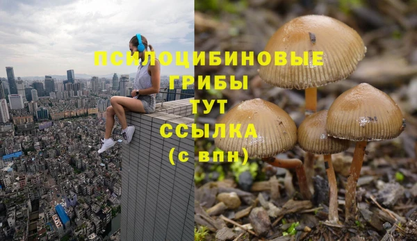 бутик Аркадак