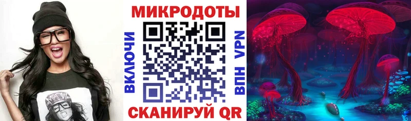 хочу   Инсар  Псилоцибиновые грибы Cubensis 